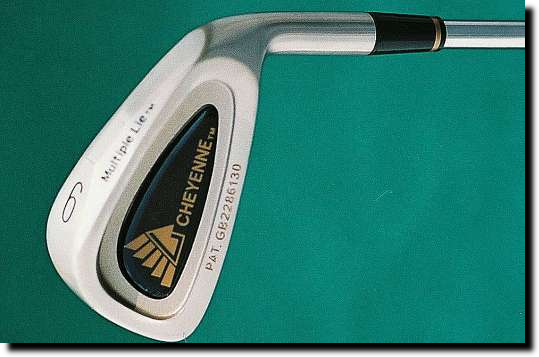 Cavity Back Multiple Lie Iron