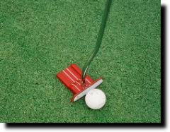 New Ugly Duckling Putter