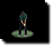 Golf Swing