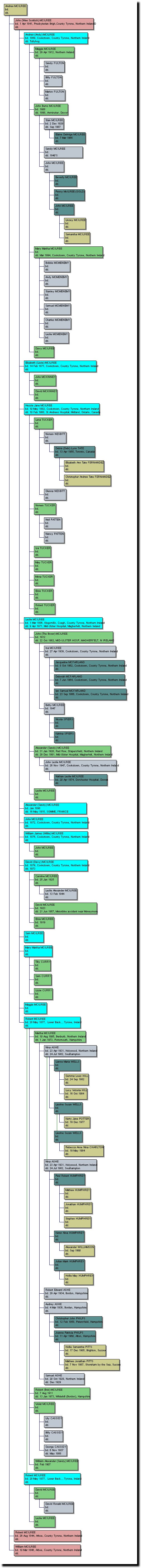 Andrew McIlree descendants